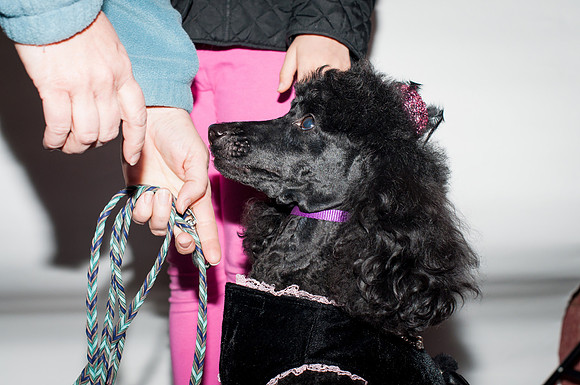 DSC_0126