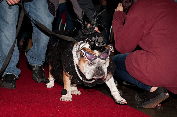 DSC_0248