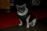 _DSC0019-2