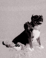 4W0A7398-2-2