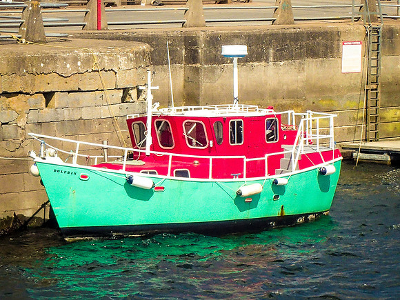 P8160660-2