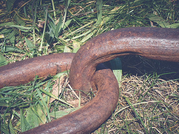 P8160676-2