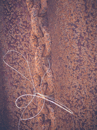 P8160679-2