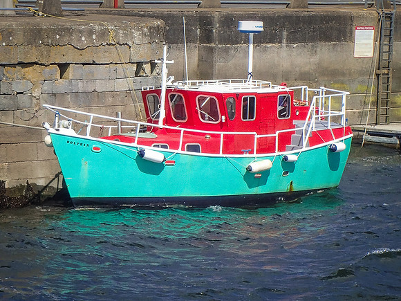P8160664-2
