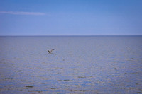 IMG_5207